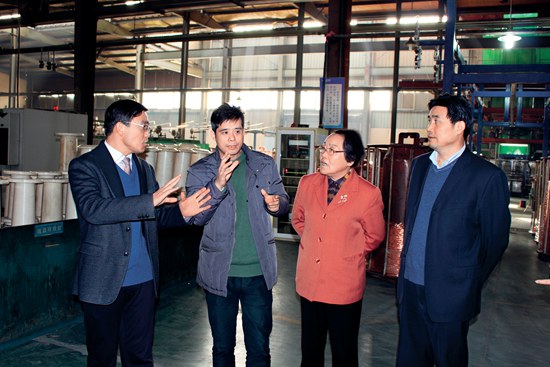 中國(guó)工程院院士邱愛慈考察南潯區(qū)浙江長(zhǎng)城電工科技股份有限公司.jpg