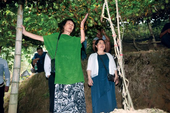 微信圖片_20190316144642.jpg 微信圖片_20190316144642.jpg